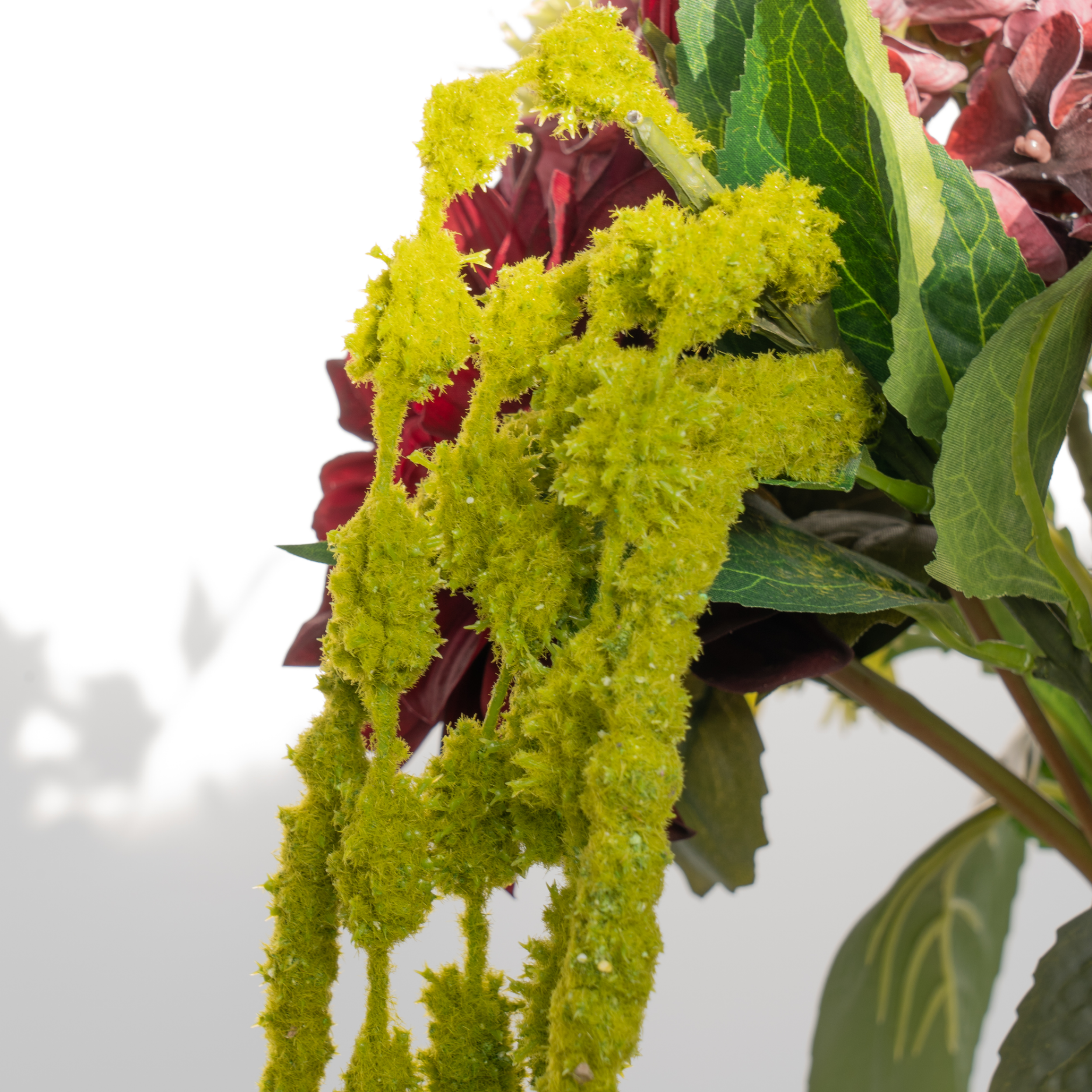 Kunstig Amaranthus, Rævehale